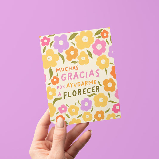 Muchas Gracias Gratitude Greeting Card